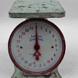 VINTAGE AMERICAN FAMILY SCALE 25 lb Mint Color Working FARMHOUSE RUSTIC Kitchen